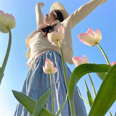 野生厨房第二季