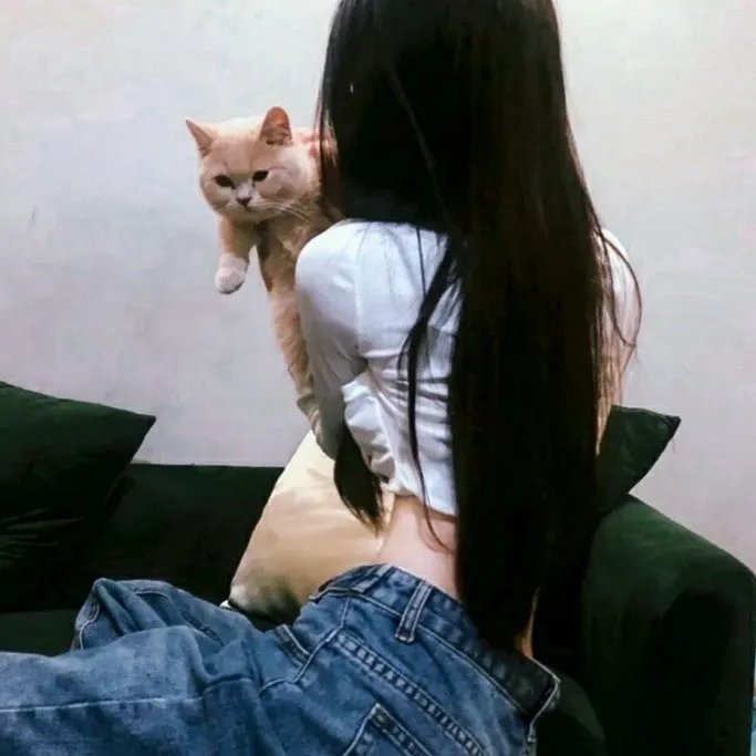 妖宴洛阳